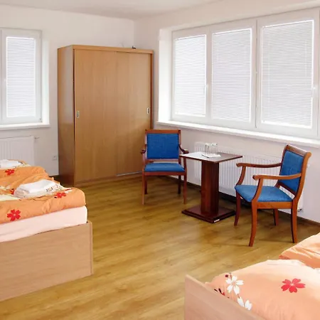 Haus Smetanova 100w 펜션