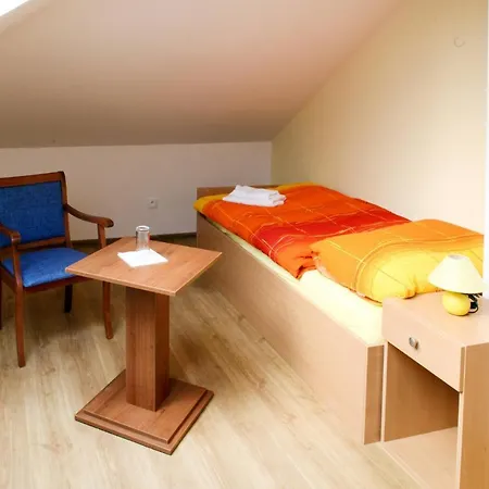 Haus Smetanova 100w 펜션 Jablonné nad Orlicí